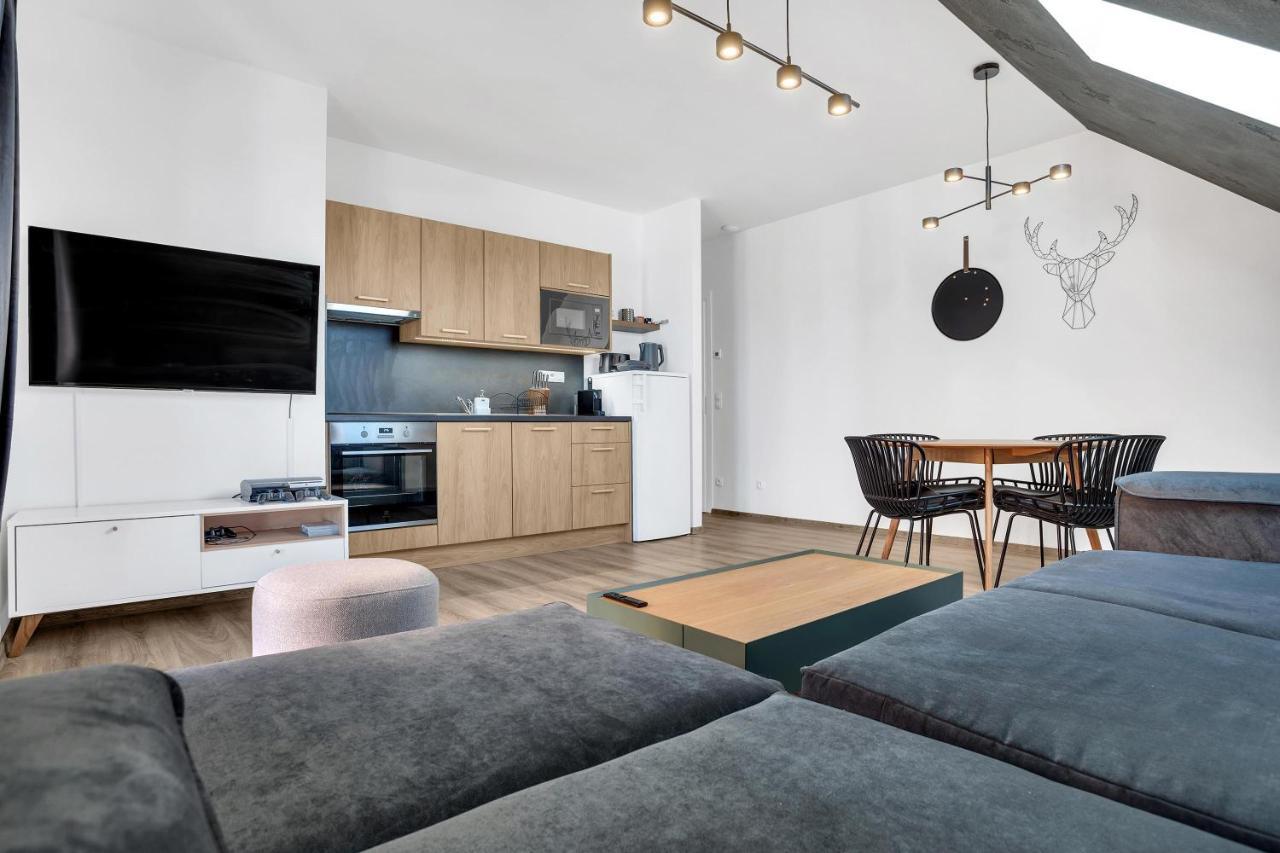 Mirabel Apartments Klinovec Loucna pod Klinovcem Ngoại thất bức ảnh